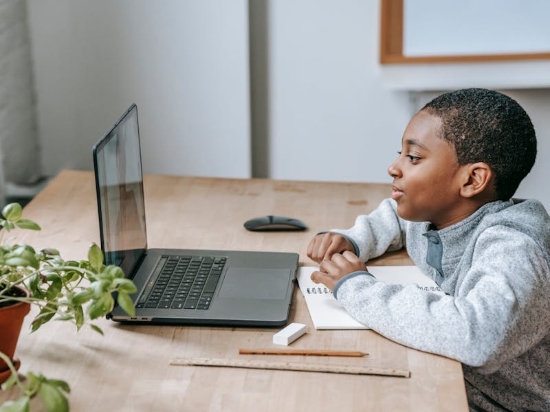 Corporate training platforms